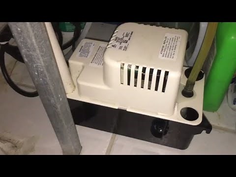 Little Giant Condensate Pump Review