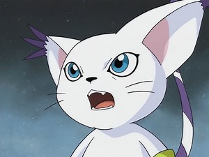 1.6K views · 24 reactions | Digimon Adventure (1999) Cap 34 El destino de Gatomon - Español latino Para mas diversión siguenos en nuestra pagina de #seriesanimadasdetuinfancia te lo agradeceriamos mucho 朗朗 | Series animadas de tu infancia | Facebook