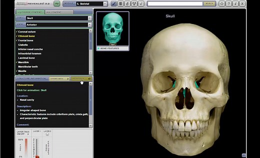 Connect - Cadaver Dissection Tool