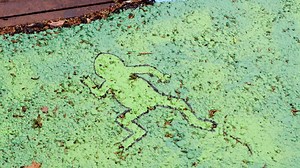 Don't forget to submit your design for this year's Artful Inlets to the Norman Arts Council by Friday! Learn more on their website at http://bit.ly/ArtfulInlet2020. | City of Norman, OK - City Government