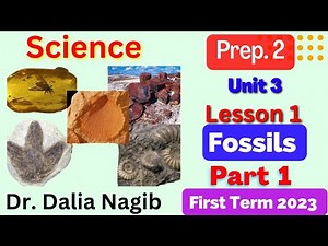 Prep 2 Science unit 3 lesson 1 Part 1 fossils شرح درس fossils ساينس تانيه اعدادى ترم اول