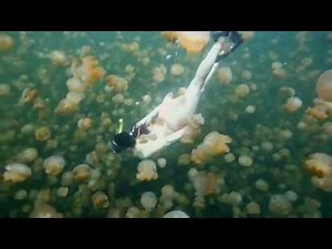 Private Islands Promo