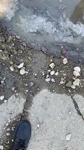 Some people wanted a SEPTA Route 75 to Wayne Junction in Clever Devices.