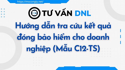 Hướng Dẫn Tra Cứu Kết Quả đóng Bảo Hiểm (BHXH, BHYT, BHTN) Cho Doanh Nghiệp (Mẫu C12-TS) - Tư Vấn DNL