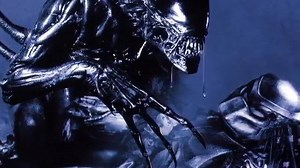 A look at the Xenomorph's conflict with the Predator species, from its Dark Horse Comics origin to the film depiction. by Alien Theory [youtube] Facebook: https://www.facebook.com/AlienTheoryYT/ Twitter: https://twitter.com/Alien_Theory | Arif I- Cartoon Chronicle