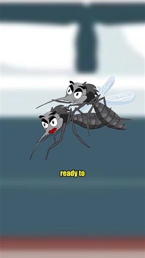 Only female mosquitoes would bite you for your blood, but not male ones. Here is why… #mosquito #nature #spider #travel #summer