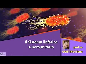 SISTEMA LINFATICO e IMMUNITARIO
