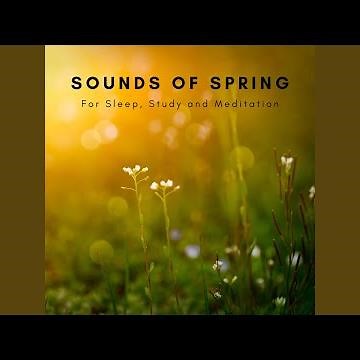 Spring Sounds for Meditation