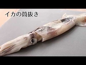 イカの筒抜きのさばき方（How to cut the squid）