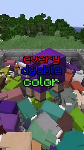 Minecraft's SECRET name tags #shorts