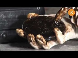 Changing the oil on an air cooled VW engine