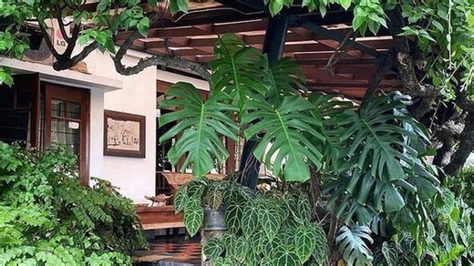 10 Desain Taman untuk Rumah Minimalis, Walau Kecil Tetap Estetik