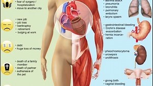 Can you actually die from a broken heart?