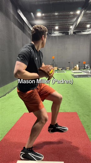 Unique Baseball Insights from Major League Players