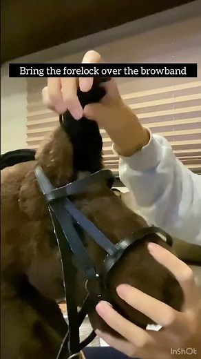How to put a bridle on a hobby horse (step by step) #hobbyhorse #youtubeshort #tutorial