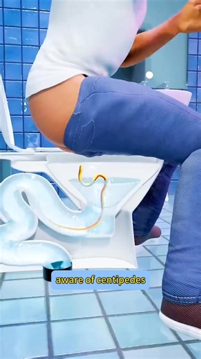 337K views · 1.2K reactions | #plumbing #unclogging #draincleaning #cloggeddrain #plumber #pipeline | Bellbird Drain Opener | Facebook