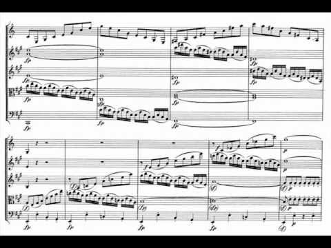 Mozart clarinet quintet K. 581 in A major [1/4] Allegro