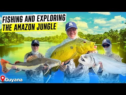 Multi-Species Fishing in Guyana’s Amazon Jungle – Peacock Bass, Arapaima, Catfish & More!