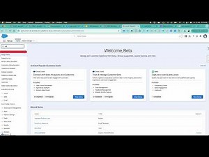 5 Salesforce Sales Cloud Lead Management part 1