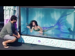 Mermaid Bryn in The Real Mermaids Tank Show!