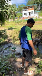 ang fishpond nga waay dun naatipan/atiman, gipahubsan ta dlang 🐟 #farmlife #countryside | Team Karay-a