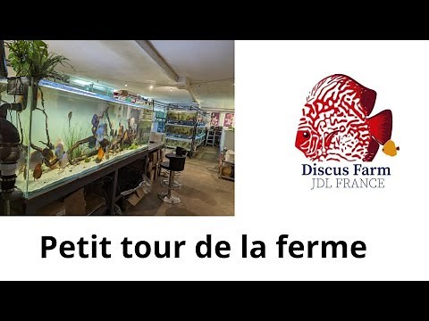 visite de la ferme à Discus
