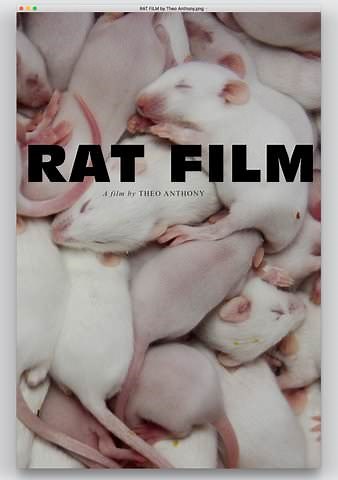 Rat Film