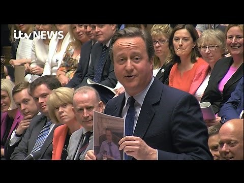 David Cameron claims 'I do love' Larry the Cat