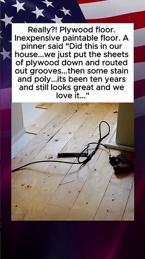 This Plywood Floor Was Stained and Sealed 10 Years Ago. It Looks Incredible and Cost Almost Nothing.