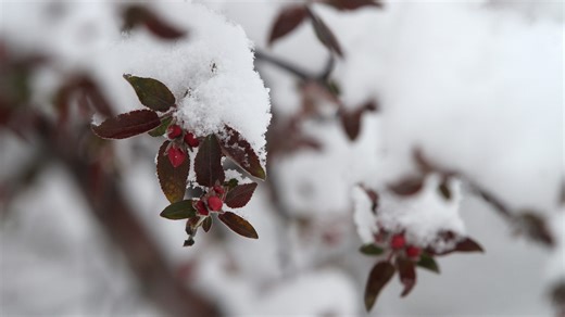 Spring officially started Thursday, but is Iowa done with snow for the winter?