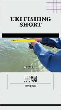練り餌で簡単黒鯛落とし込み！#fishing #黒鯛 #釣り