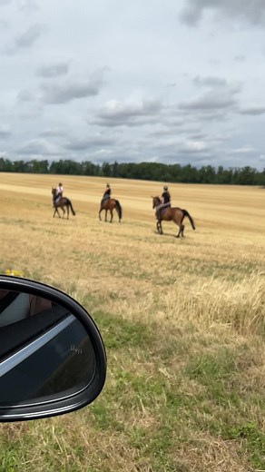 Schnell wie der Blitz - Eine Reise durchs Stoppelfeld