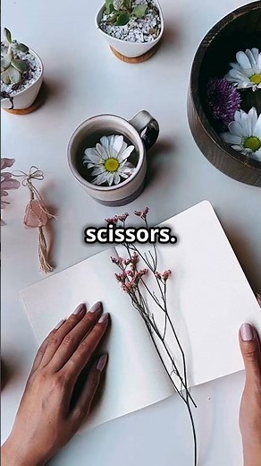 DIY Pressed Flower Art | Make Beautiful Bookmarks & Art! 🌸📖