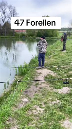 Expert Lure Fishing Techniques for Anglers