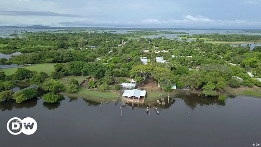 Explained - Why are wetlands essential?