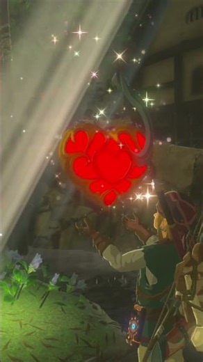 Every Heart Matters | Breath of the Wild