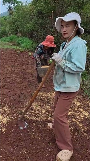 ว่านกล้า บก ไม่ใช้น้ำ🇱🇦 #เขยลาว #สาวลาว #สาวลาวเหนือ #พงสาลี