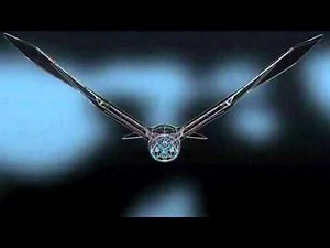 Robotic bird takes flight into the future Video Reuters.com.flv