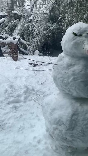 Snow Dey ❄️ ☃️ | Cincinnati Zoo & Botanical Garden