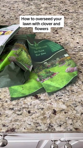 This is how I overseeded my lawn to turn it into a clover lawn. This year im adding a lot more variety of flowers. I’ll plant the bulbs in a few months. #justnolawns #cloverlawn #meadowlawn