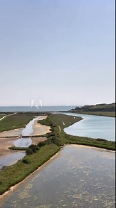 Cuckmere haven valley river drone SUP, stand up paddle board, cows, countryside, Sussex, Seaford, trail, ocean, cliffs, sunny day