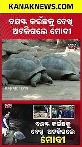 PM Modi’s Special Encounter with World’s Oldest Animal 'Jonathan'!