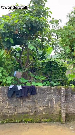 209K views · 8.3K reactions | Do as ur power rich | Mc tommy | Facebook