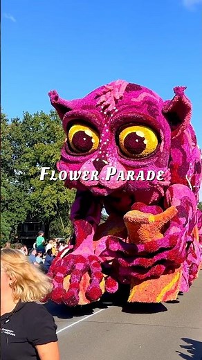 Corso Lichtenvoorde 🇳🇱 UNESCO Flower Parade - The Netherlands