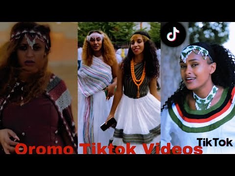 Sirba afaan oromoo haaraa 2023: Oromo music | Oromotiktok