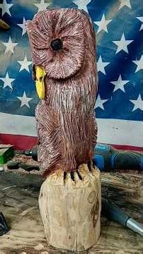 Barn owl power wood carving #short #woodcarving #powercarving