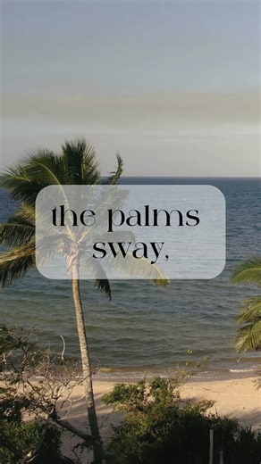 3.7K views · 71 reactions | White sand beaches, turquoise seas and swaying palms. Come live the good life with Mozambique Horse Safari  | Mozambique Horse Safari | Facebook