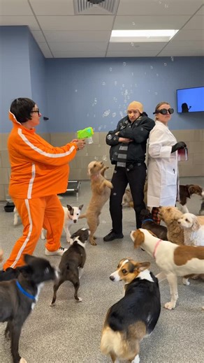 Just three geniuses plotting world domination… again. 😤💼 #BadBadDay #DespicableMe | K9 Resorts Luxury Pet Hotel