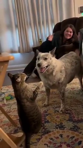 812K views · 15K reactions | Never start something that you can't finish! | Roar Wildlife News | Facebook