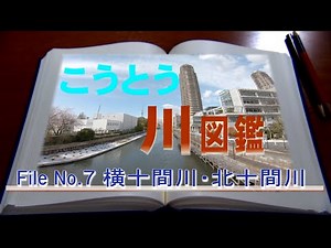 こうとう川図鑑～横十間川・北十間川～（2022年4月10日）